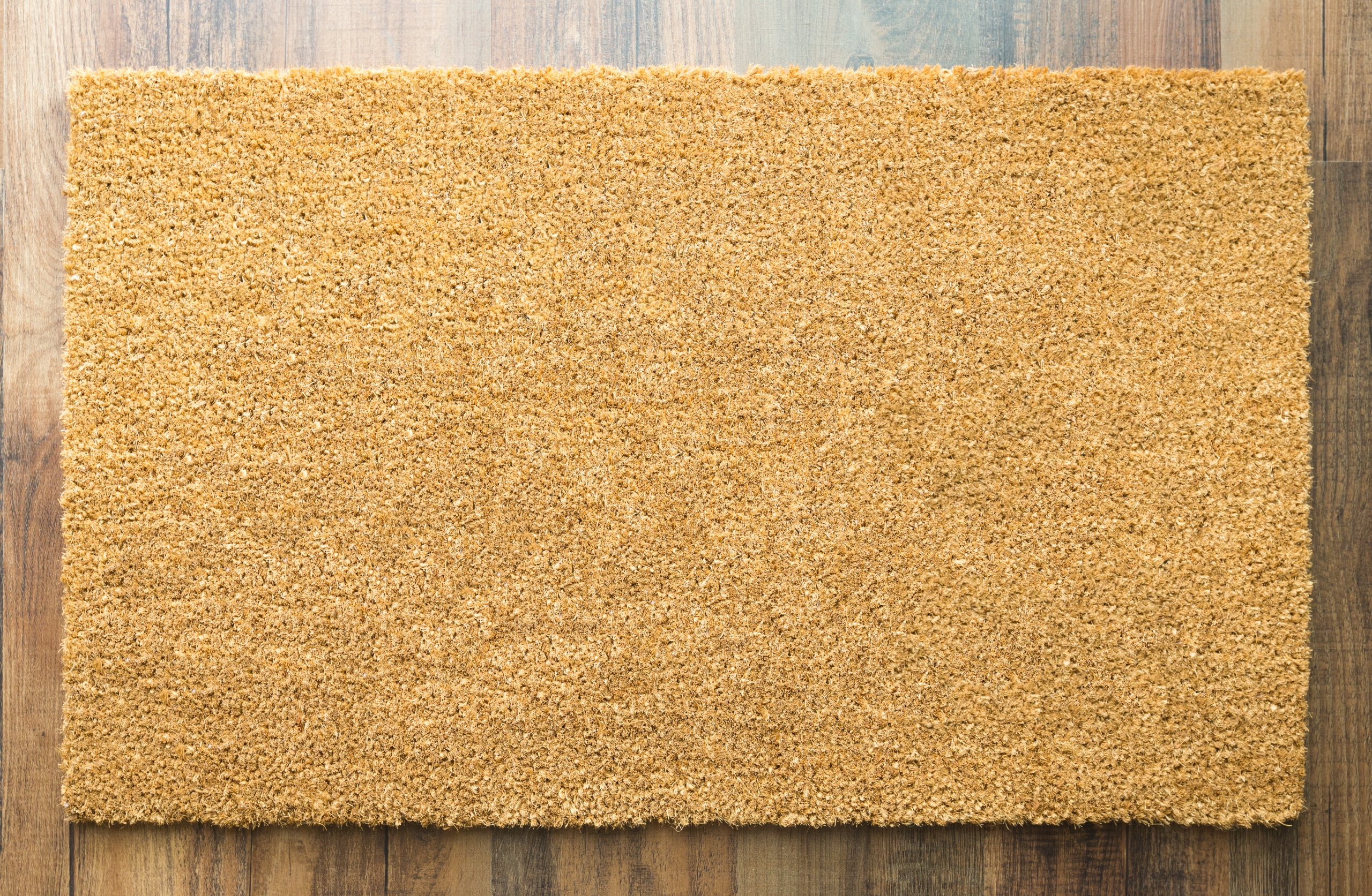 Renting vs. Buying Floor Mats